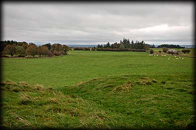 View fron the top